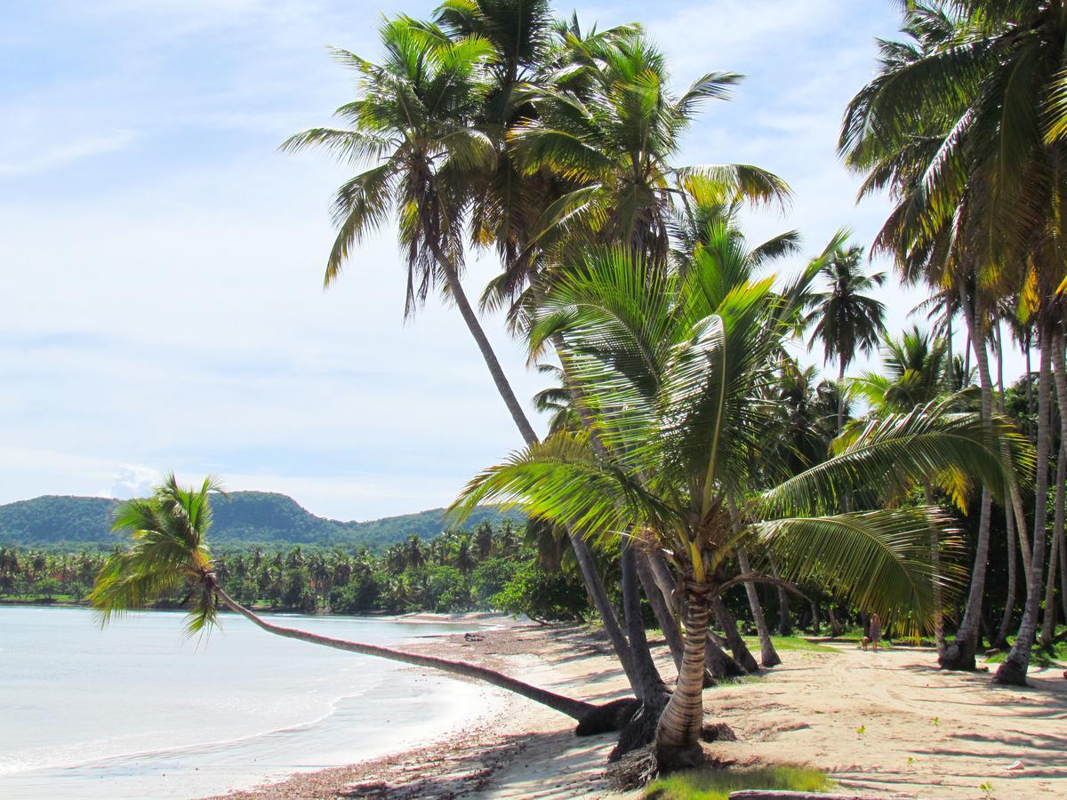 Las Galeras Hotel 外观 照片