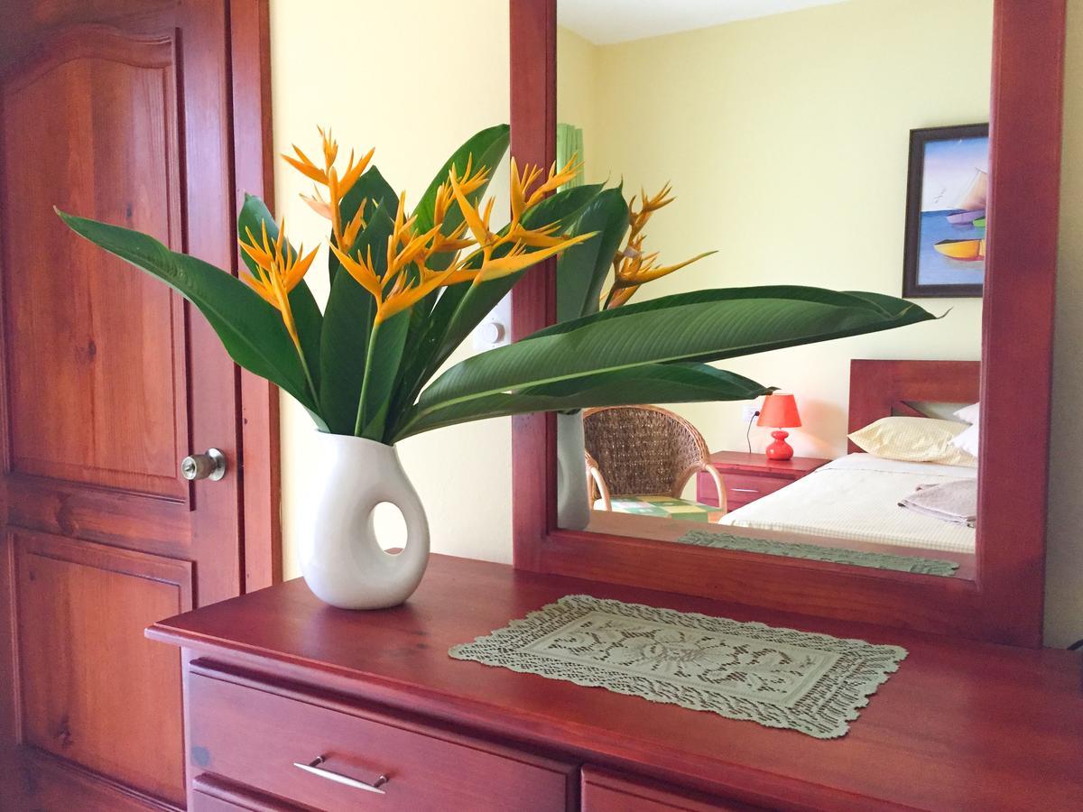Las Galeras Hotel 外观 照片